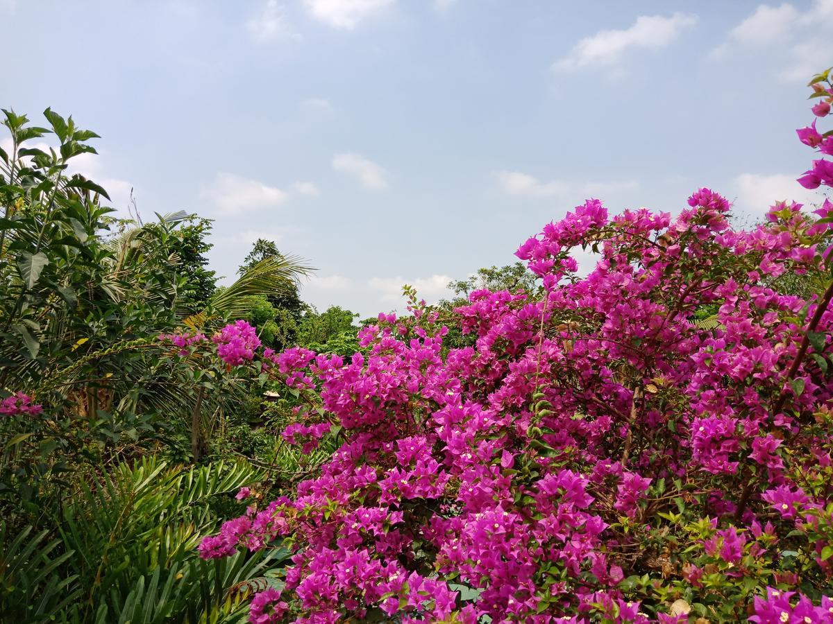 הו צ'י מין סיטי Saigon Riverside Retreat מראה חיצוני תמונה